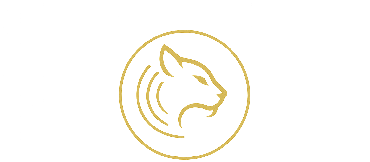 Tabares Producciones